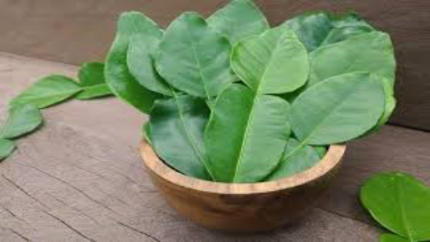 6 Manfaat Kesehatan dari Daun Jeruk Nipis