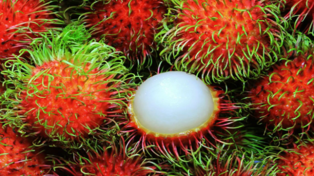 Menyelami Keajaiban Nutrisi Rambutan untuk Kesehatan Tubuh