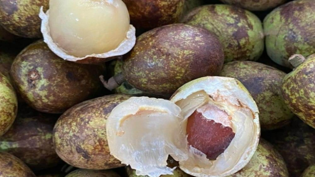 7 Manfaat Buah Matoa untuk Kesehatan Tubuh